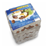 BANDEJA DE CARTÓN, X180 UNIDADES, TIPO A